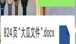 网红大瓜文件docx